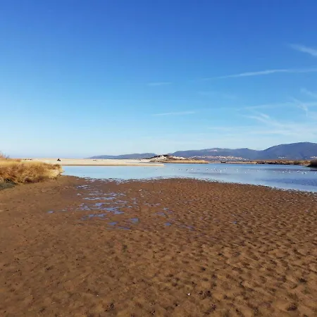 Gli Ulivi Appartement