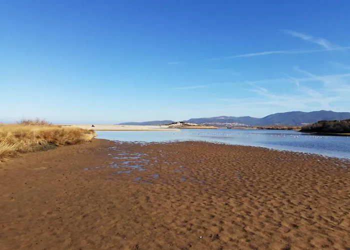 Gli Ulivi Apartament