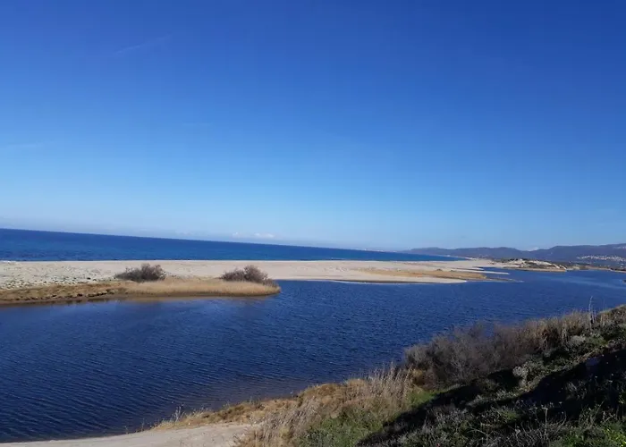 Gli Ulivi Apartament